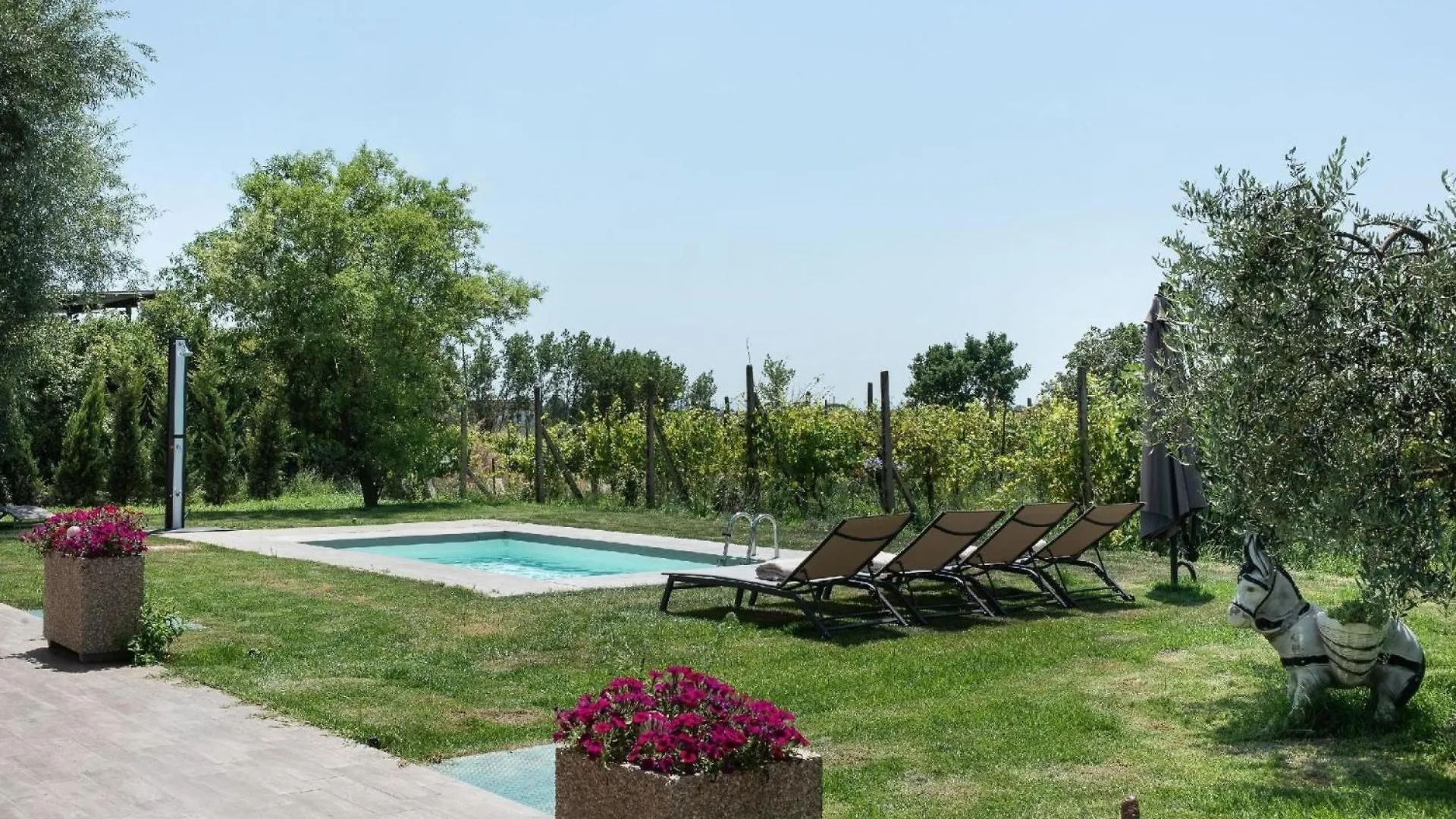 Im Haus Von Elena Villa Rigutino Italy