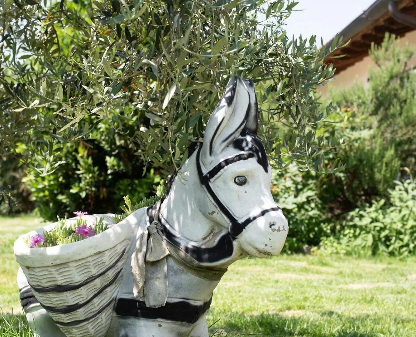 Im Haus Von Elena Villa Rigutino Holiday home